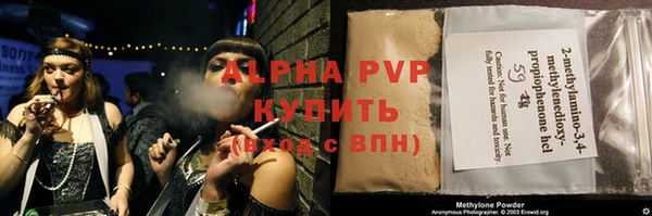 прущие грибы Касимов
