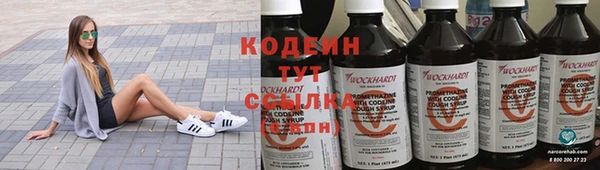 прущие грибы Касимов