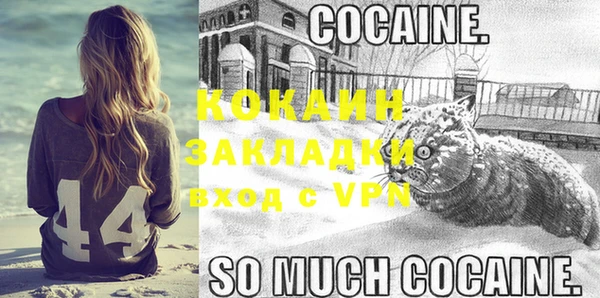 индика Карталы