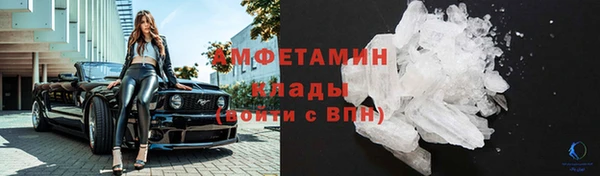 прущие грибы Касимов