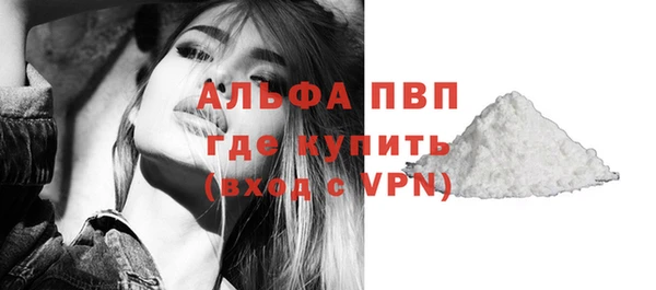 прущие грибы Касимов