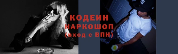 индика Карталы