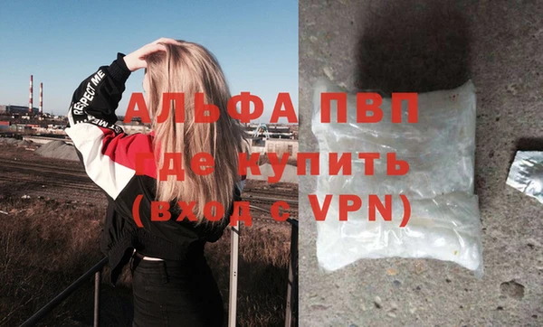 индика Карталы