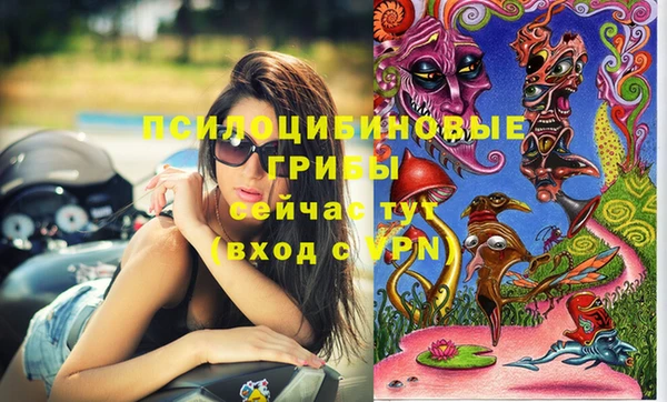 индика Карталы