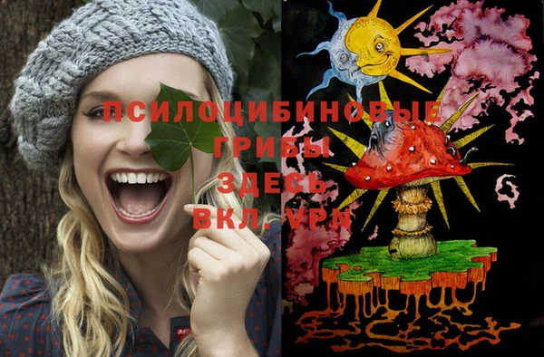 MDMA Карпинск