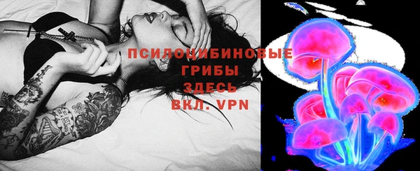 гидра Кинешма