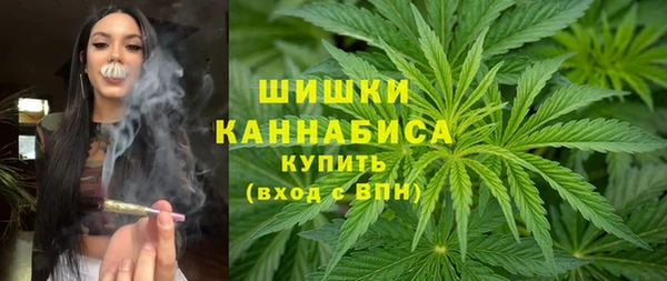 прущие грибы Касимов