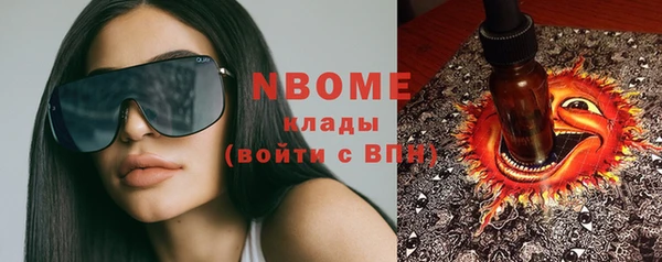прущие грибы Касимов