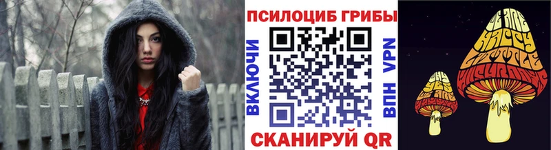 Псилоцибиновые грибы прущие грибы  Купить  Егорьевск 